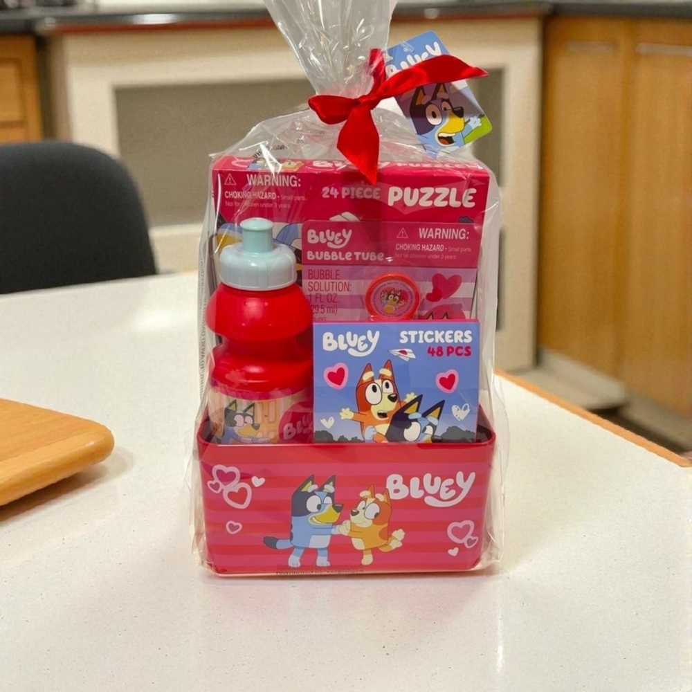Bluey Valentine’s Day Gift Set
